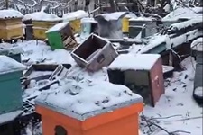 Зруйнована пасіка після удару