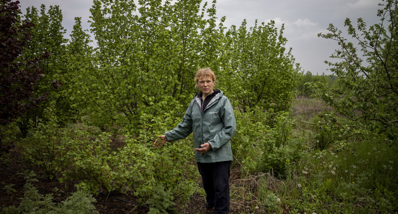Наталя демонструє ягідні кущі на своїй фермі