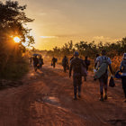 Група співробітників ХАЛО повертаються з поля після роботи по грунтовій дорозі на фоні заходу сонця