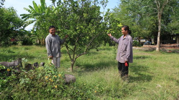 Reclaiming Roots: Clearing Farmland for Prosperity