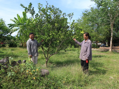 Link to Reclaiming roots: Clearing farmland for prosperity