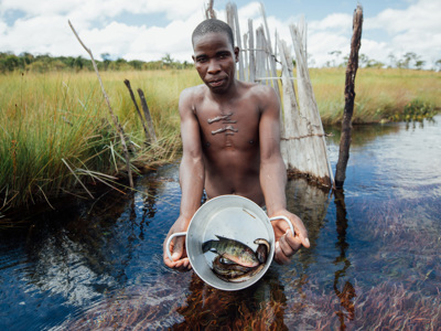 Link to Angola Invests 60 million dollars to clear landmines in Okavango