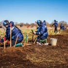 Люди в захисному спорядженні, з детекторами та інструментами під час тренінгів з розмінування на відкритій місцевості
