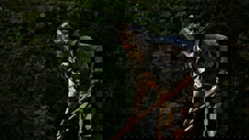 HALO worker wearing a protective vest and visor