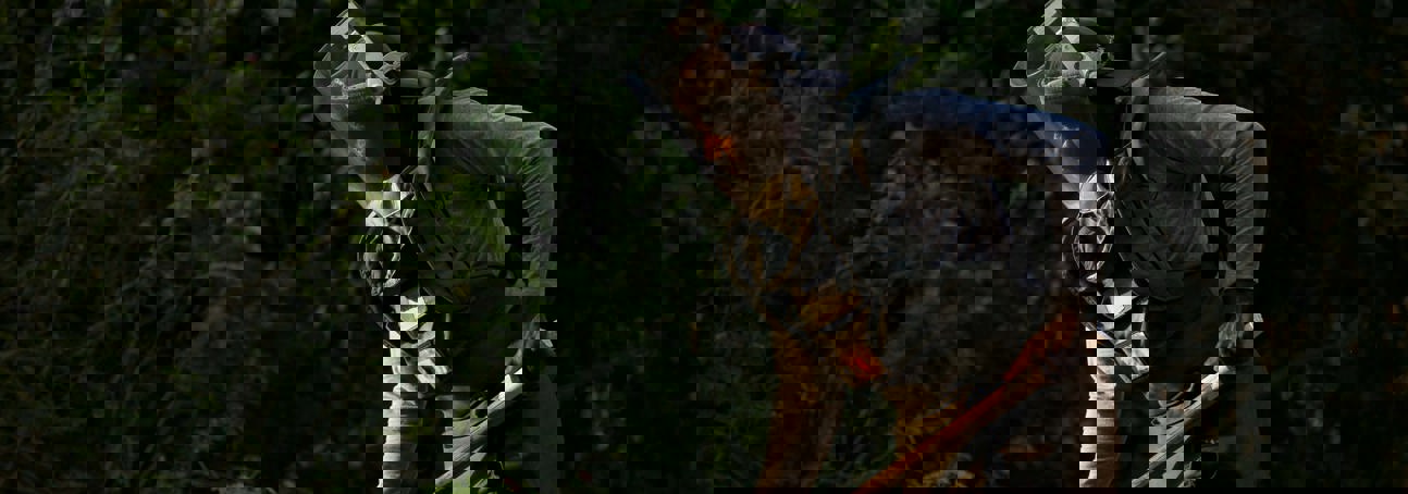 HALO worker wearing a protective vest and visor