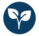 Leaf plant icon