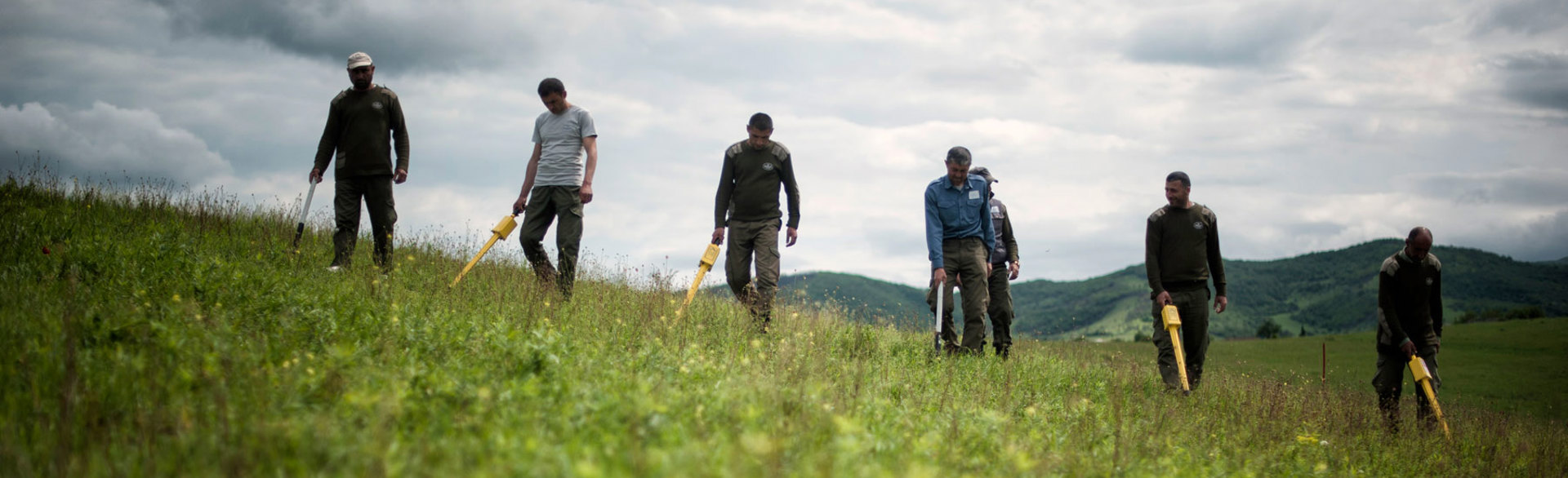 A team of deminers use metal detectors in a field in Nagorno Karabakh