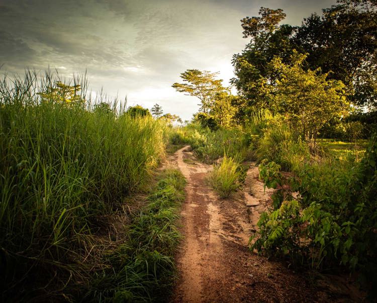Link to More about this work in Cambodia
