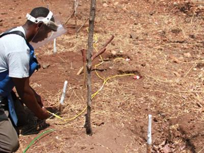 Link to HALO Trust clear up to 120 landmines per day in Mozambique