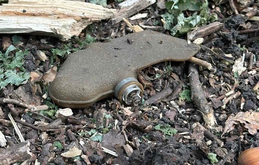 Міна-пелюстка на землі