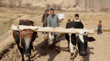 UK Aid Helps Families Rebuild in Afghanistan