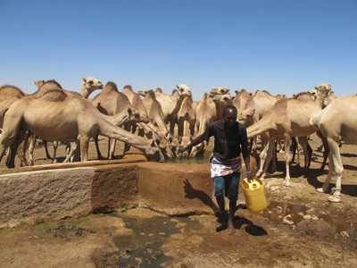 Link to Improving access to water in Somaliland