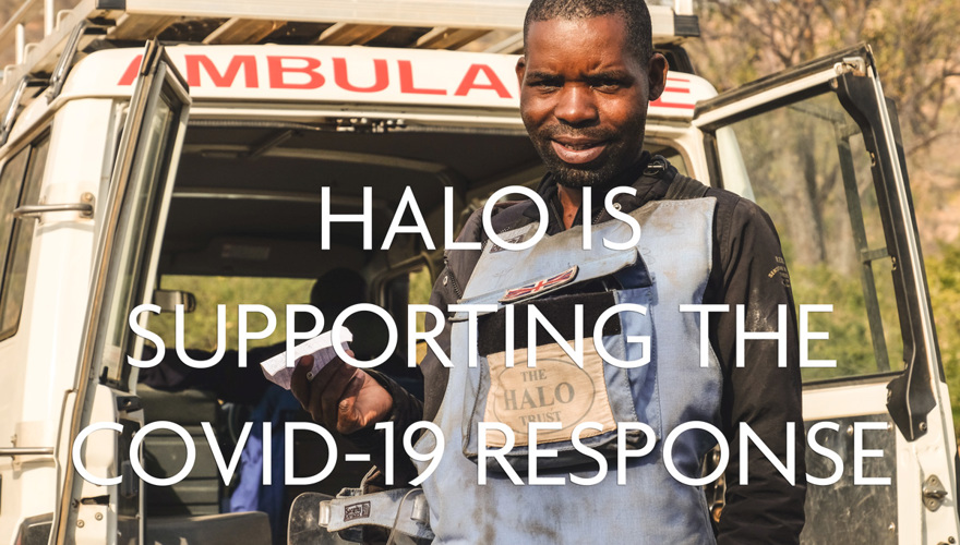 HALO's COVID-19 Response