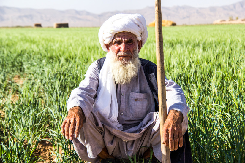 Beneficiary of mine clearance in Herat Province, The HALO Trust.