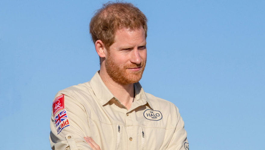 Prince Harry visits HALO in Angola