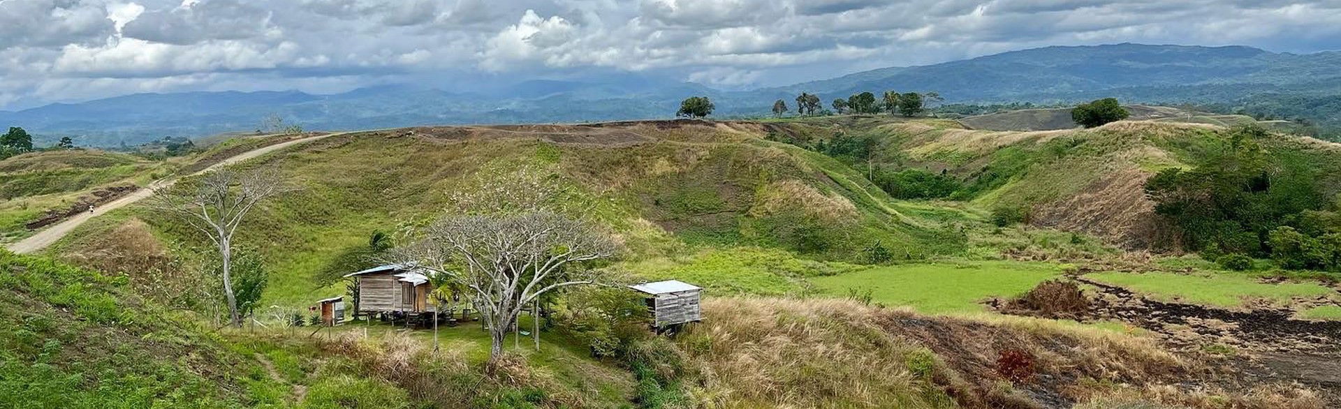 The never-cleared site of the Battle of Edson's Ridge in September 1942, Guadalacanal
