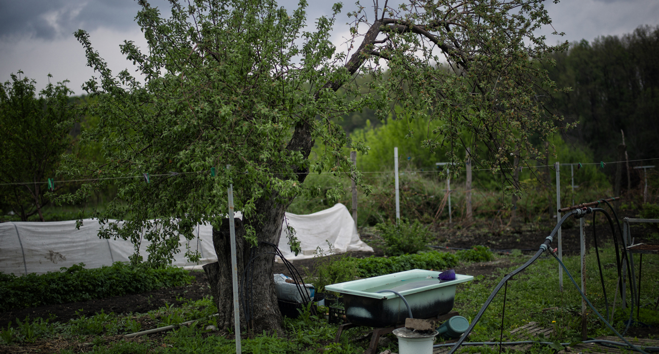 Саморобна система поливу на фермі Нестеренків