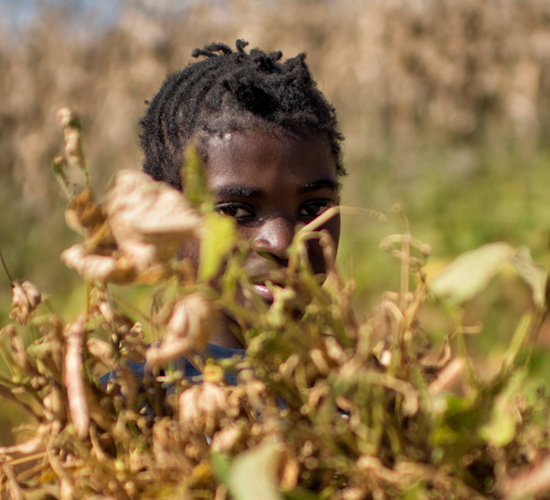 A person poses behind some crops in Angola