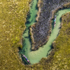An aerial photograph showing a river weaving through the Okavango landscape