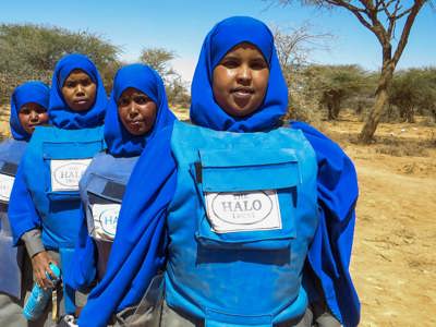 Link to Reaching for the top in Somaliland