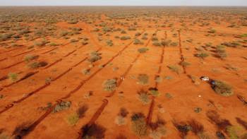 A drone image of a soil restoration project in a former minefield in the Horn of Africa